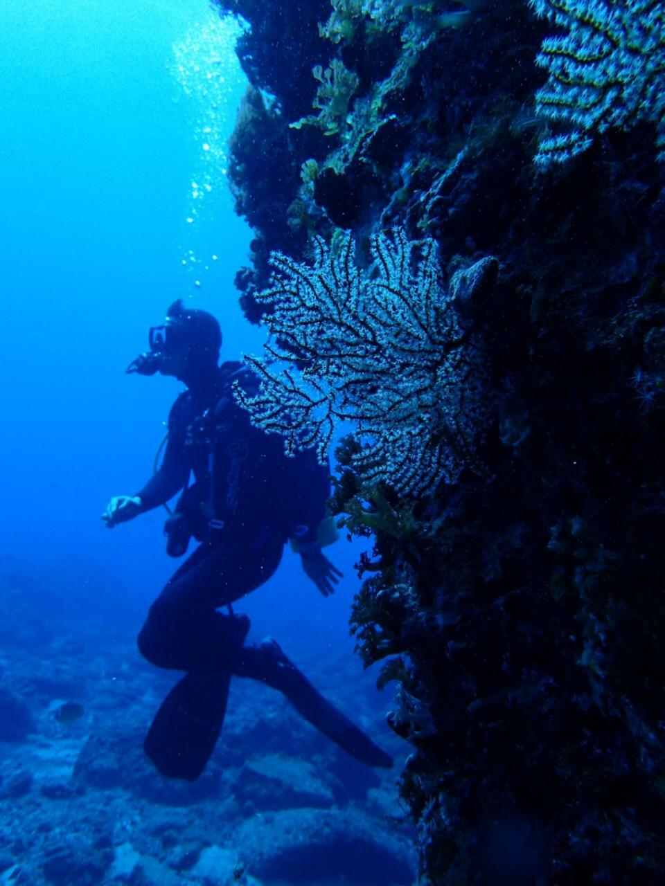 Qing Feng Diving B&B Ilha Verde Exterior foto